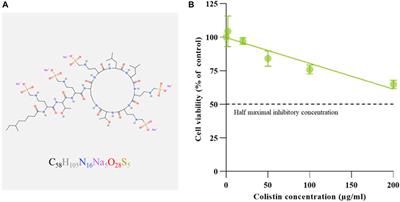 Utilizing liposomal encapsulation approach to address nephrotoxic challenges of colistimethate sodium through a preclinical study